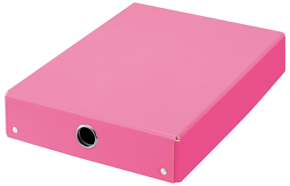 レイメイ藤井 先生オススメ！！ おどうぐばこ（ライトピンク） RA70Q