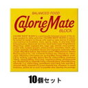 カロリーメイトブロック チョコレート味 4本入×10個セット 大塚製薬 カロリーメイトブロツク チヨコ