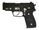 タナカワークス SIG P228 M11 Evolution 2 ALL Heavy Weight モデルガン