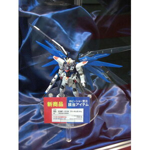 【再生産】1/144 RG ZGMF-X10A フリーダムガンダム（機動戦士ガンダムSEED） バンダイ