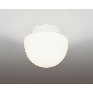 LGW85067LE1 パナソニック 浴室灯 LED（電球色） (HEW6054CE 推奨品)