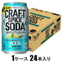 クラフトスパイスソーダ 350mlX24本【酎ハイ】 サッポロビール サツポロスパイスソ-ダ350X24