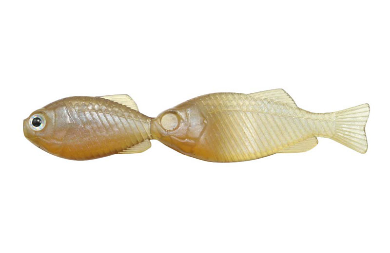 ギルギル2.8インチ#69 issei ギルギル 2.8インチ(クイシブリパンプキン)6本 一誠 GillGill