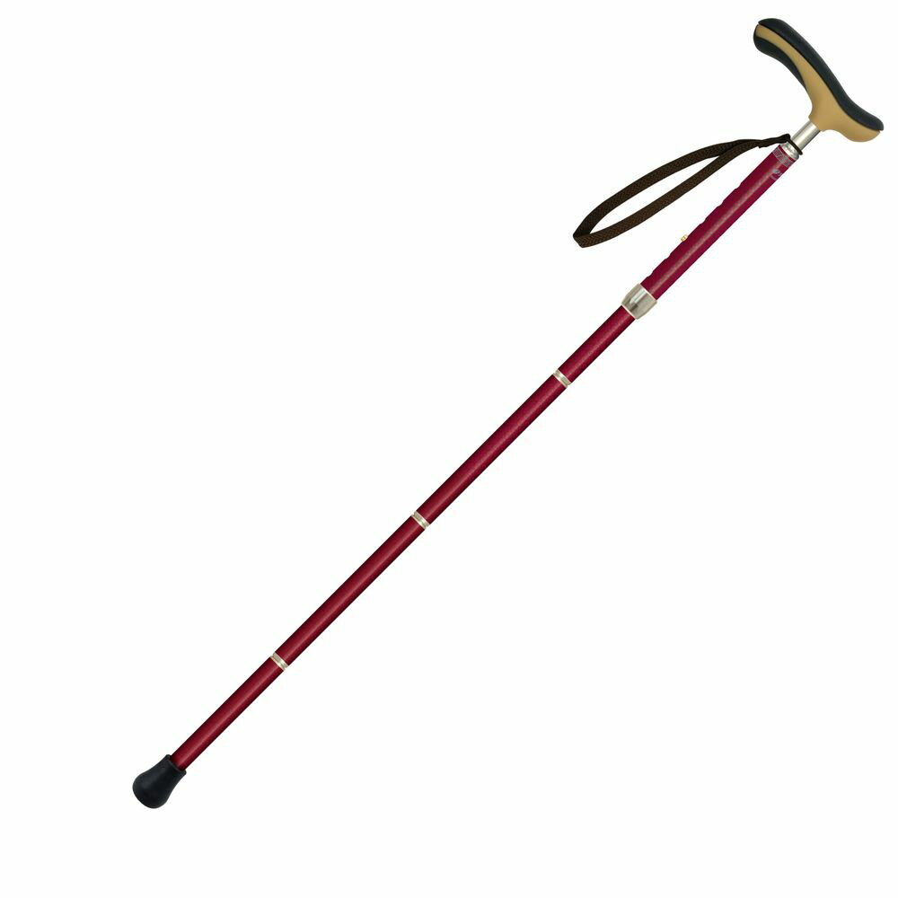 ���ʥ� �������륹�ڡ��� �ޤ���߾� ���硼�� 75��85cm �磻�� (�⤵Ĵ��5�ʳ���) 5001398 SHINANO [500139...