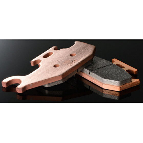 デイトナ ゴールデンパッドχ 15208 DAYTONA