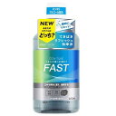 OCH−TUNEマウスW FAST クールドライミント 600ml ライオン OCH-TUNEマウスW FAST600