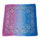 BF022347-1A-2E BACKYARD FAMILY(バックヤードファミリー) Bandanna COLLECTION(007A)