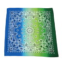 BF022347-1A-2G BACKYARD FAMILY(バックヤードファミリー) Bandanna COLLECTION(009C)