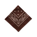 BF022349-1A-2O BACKYARD FAMILY(バックヤードファミリー) PAISLEY BANDANNA(CHOCO)