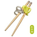 幼児用お箸 はじめておはし 木箸 右手用 ライム(YE) コンビ ハジメテオハシ キバシ ミギ YE