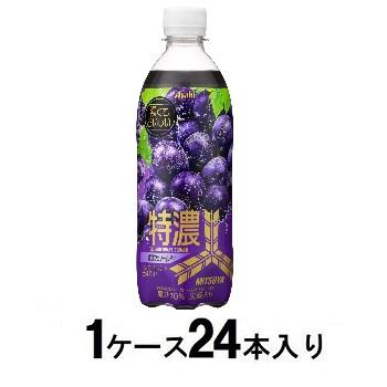 三ツ矢 特濃 グレープスカッシュ　500ml（1ケース24本入） アサヒ飲料 ミツヤグレ-プスカツシユX24N