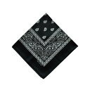 BF022349-1A-2B BACKYARD FAMILY(バックヤードファミリー) PAISLEY BANDANNA(BLACK)