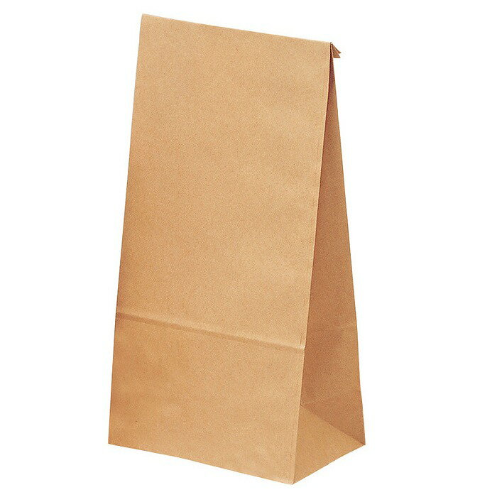 ササガワ ギフトバッグ 角底袋 特大 20枚入（未晒） sasagawa 50-4501