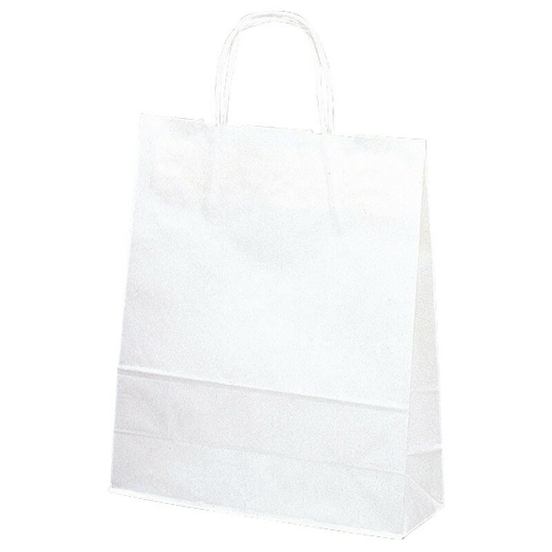   󤲥Хå  10̵ϡ sasagawa 50-6100