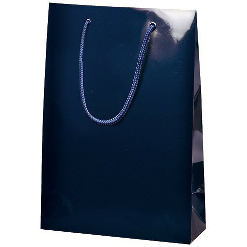 ササガワ 手提げ袋 手提げバッグ ブライト 中 1枚入(コン) sasagawa 50-6424