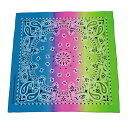 BF022347-1A-2F BACKYARD FAMILY(バックヤードファミリー) Bandanna COLLECTION(008B)