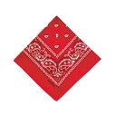 BF022349-1A-2A BACKYARD FAMILY(バックヤードファミリー) PAISLEY BANDANNA(RED)