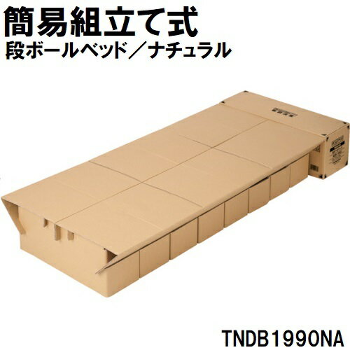 �ȥ饹���滳 �ʥܡ���٥å�/�ʥ����� TNDB1990NA �ȥ饹���滳 [TNDB1990NA]