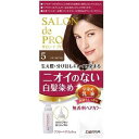 サロンドプロ 無香料ヘアカラー 早染め乳液(白髪用)5 ナチュラルブラウン ダリヤ サロンドプロニユウエキ5