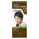 ルシード ワンプッシュケアカラー ナチュラルブラウン(医薬部外品) マンダム LCケアカラ-Nブラウン