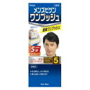 メンズビゲン ワンプッシュ 5ナチュラルブラウン 80g ホーユー メンズビゲンワンプツシユ5