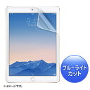 サンワサプライ iPad Air 2用液晶保護フィルム（ブルーライトカット・指紋反射防止） LCD-IPAD6BCAR