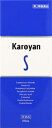 【第2類医薬品】カロヤンS 180ml 第一三共ヘルスケア カロヤンS 180ML [カロヤンS180ML]【返品種別B】