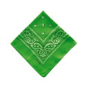 BF022349-1A-2H BACKYARD FAMILY(バックヤードファミリー) PAISLEY BANDANNA(GREEN)