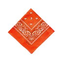 BF022349-1A-2N BACKYARD FAMILY(バックヤードファミリー) PAISLEY BANDANNA(ORANGE)