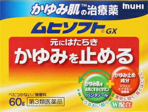 かゆみ肌の治療薬 ムヒソフトGX 60g 池田模範堂 ムヒソフトN60G ◆セルフメディケーション税制対象商品