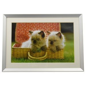 �ե����顼 ����߳۱� A10N �磻��6�ڡʥ���С��ˡ�������-���饹�ġ� ����ߥ����֥�A10N W6 SV FUJICOLOR