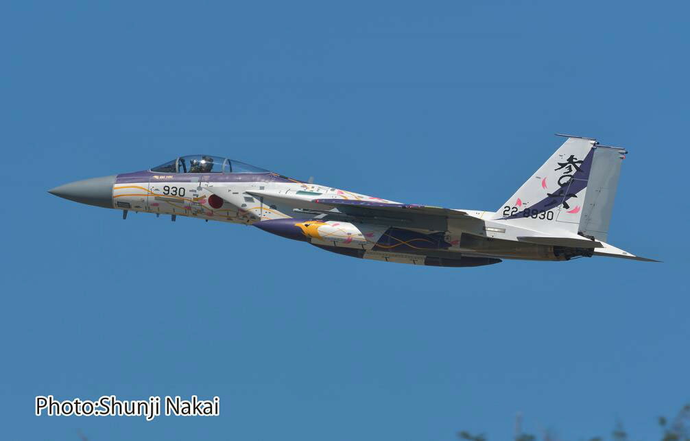 楽天市場】f-15 航空自衛隊 1/72 完成品の通販 楽天市場】f-15 航空自衛隊 1/72 完成品の通販