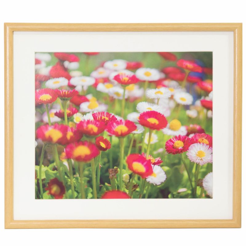 フジカラー 木製額縁 M20 4切（木地）（前面板-PET） モクセイF-M20-4 FUJICOLOR