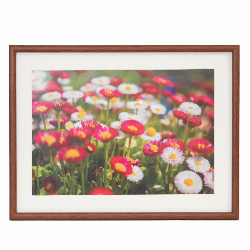 フジカラー 木製額縁 M21 ワイド4切（ブラウン）（前面板-PET） モクセイF-M21-W4 FUJICOLOR