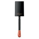 ヴィセ ネンマクフェイク リキッド BE330 したたるアプリコット 6mL ヴィセ VSネンマクリキツド #330