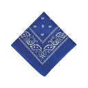 BF022349-1A-2E BACKYARD FAMILY(バックヤードファミリー) PAISLEY BANDANNA(BLUE)