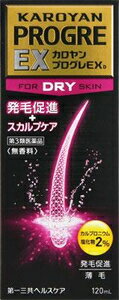 【第3類医薬品】カロヤン プログレ EX D 120ml 第一三共ヘルスケア カロヤンプログレEXD120ML [カロヤンプログレEXD1…