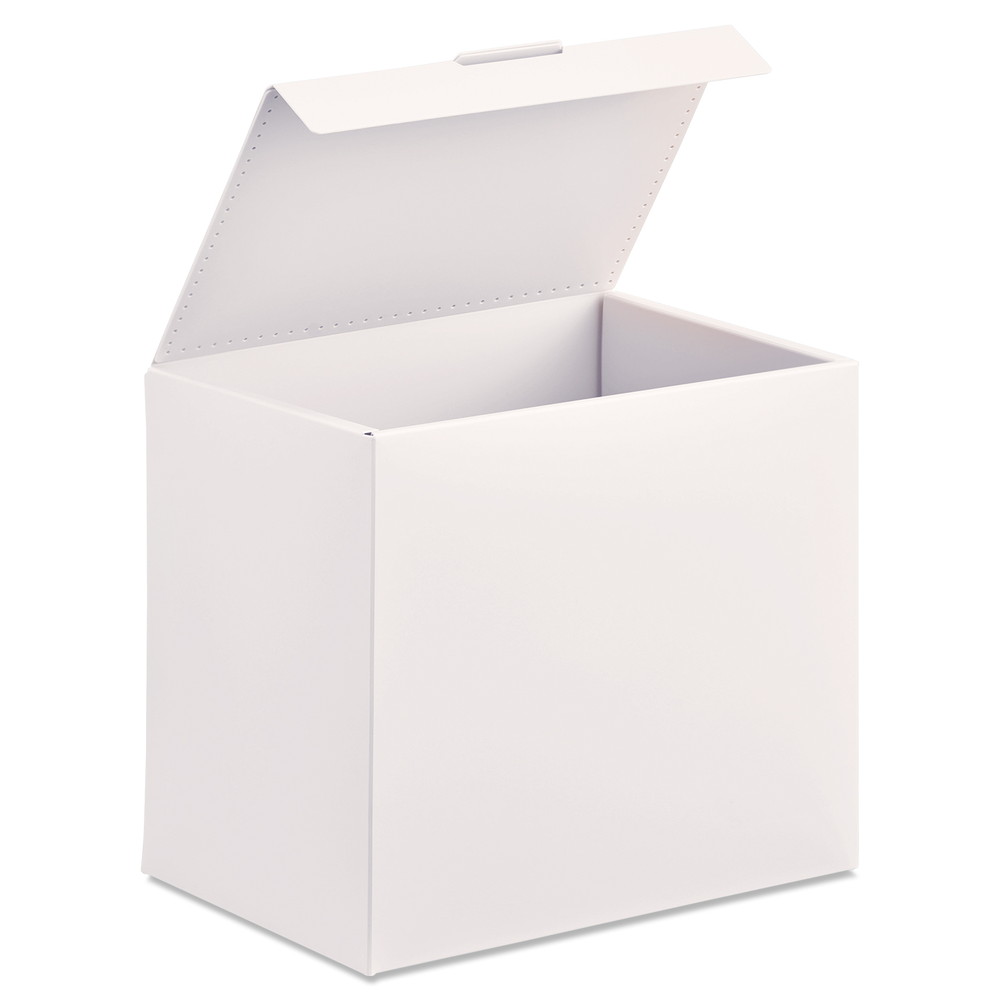 プラス ito/oshi イトオシ 推し活 組立式PPBOX CDサイズ（オフホワイト） FL-370CF(91429) [FL370CF914..