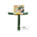 ハナササエシヨ-トビツグ ハナカツ 花ささえ 足短・大 6本組 花勝 石 剣山