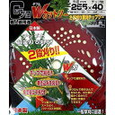 41062 サカソウインベント Gプロ Wカットソー 2段刈り草刈りチップソー(255×40P)