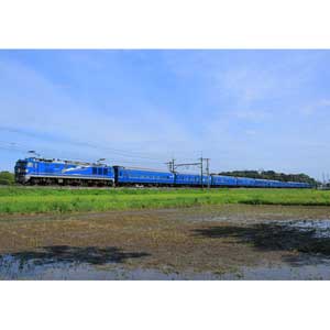 [鉄道模型]トミックス TOMIX (Nゲージ) 98953 JR 24系「さよなら北斗星」16両セット【限定品】 【税込】 [トミックス 98953 サヨナラホクトセイ]【返品種別B】【送料無料】【RCP】