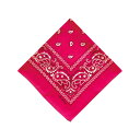 BF022349-1A-2D BACKYARD FAMILY(バックヤードファミリー) PAISLEY BANDANNA(PINK)