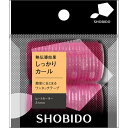 ヒートカーラーLL 粧美堂 ヒ-トカ-ラ-LL