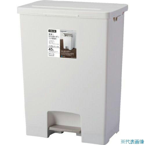 アスベル エバン ペダルペール 45L ワイド(...の商品画像