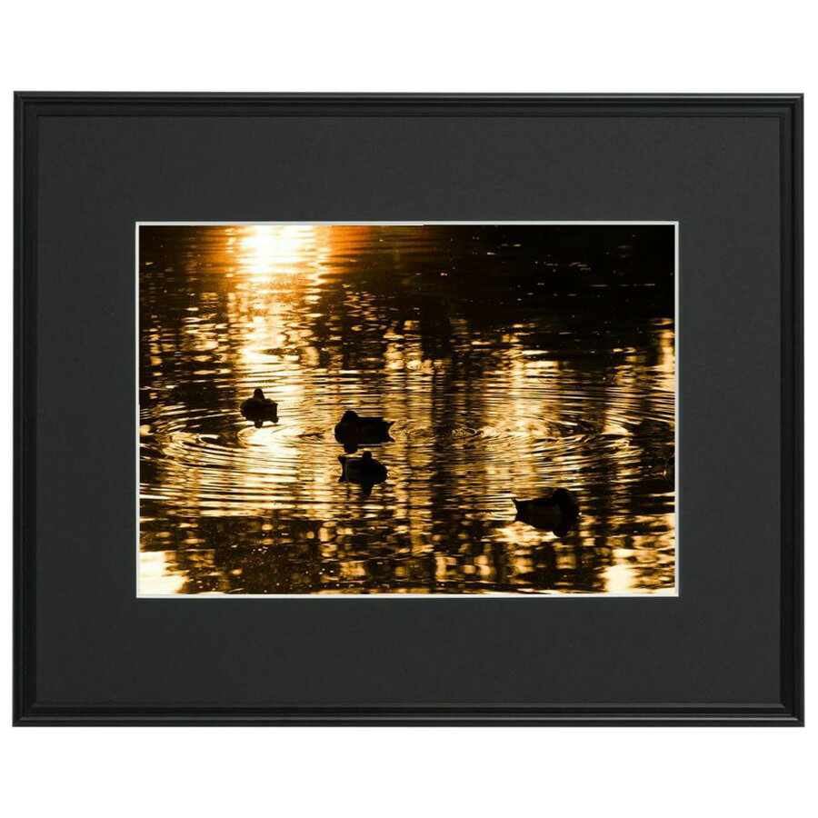 フジカラー アルミ額縁 ワイドマットフレーム A3300 ワイド4切（ブラック）（前面板-アクリル） フジカラ-A3300W4 FUJICOLOR