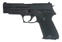 タナカワークス タナカワークス SIG P220 航空自衛隊 Evolution 2 ALL Heavy Weight モデルガン