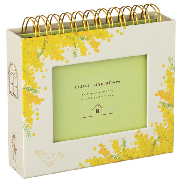 �ʥ��Х䥷 �ե��ȥ�� �ե졼�ॱ��������Х��LȽ/60���Ǽ/�ե����������� A-FTPC-104-Y Nakabayashi