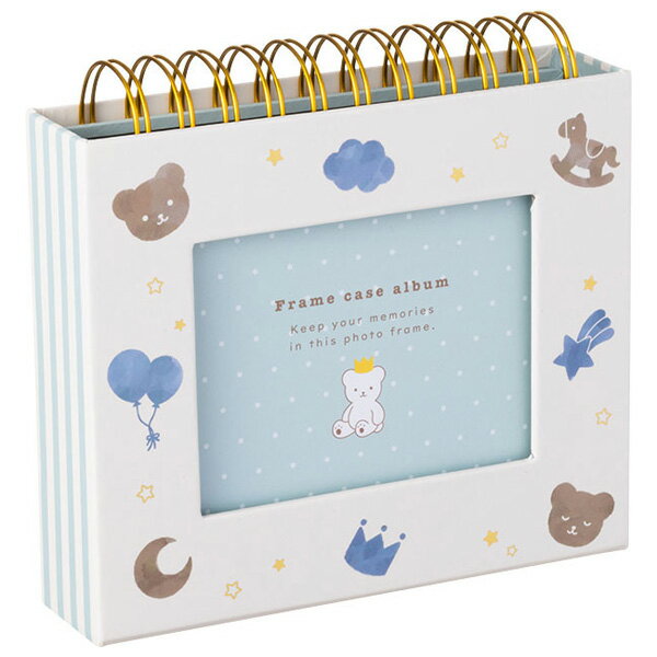 �ʥ��Х䥷 �ե��ȥ�� �ե졼�ॱ��������Х��LȽ/60���Ǽ/�٥ӡ��֥롼�� A-FTPC-105-B Nakabayashi