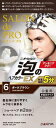 サロンドプロ 泡のヘアカラーEX メンズスピーディ(白髪用)6(ダークブラウン) ダリヤ Sアワカラ-EXメンズ 6