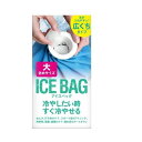 ICEBAG大きめサイズ 東京企画販売 ICEBAGオオキメサイズ